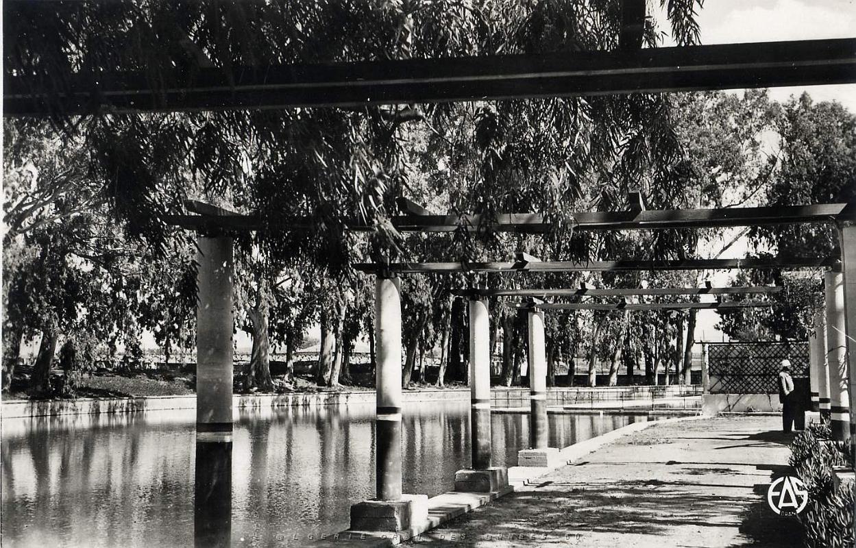 Palikao 500- Pergola COLLECTION DES AMIS DE ND DE SANTA CRUZ.jpg